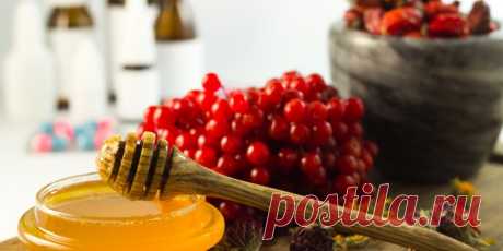 Что полезно для печени. Полезные чаи