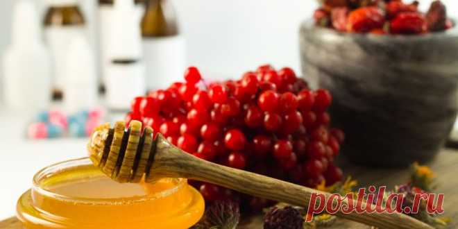 Что полезно для печени. Полезные чаи