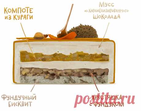 Современные десерты, муссовый торт с орехами и курагой &quot;Нуазетт&quot; - Andy Chef - блог о еде и путешествиях, пошаговые рецепты, интернет-магазин для кондитеров