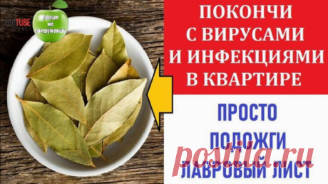 Зачем я сжигаю каждый день по листочку лаврового листа в своей квартире?
Лист лаврового дерева обладает множеством полезных свойств:

Если поджечь лаврушку, можно не только очистить помещение от неприятных запахов, но и улучшить общее энергетическое состояние дома. После процедуры человек начинает чувствовать умиротворенность и спокойствие. Такой метод отлично борется со стрессом и психическим напряжением.
Подожженный лавр воздействует на организм, как анальгетик. Он помог...