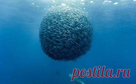 Мой Мир@Mail.Ru