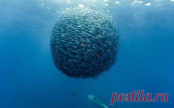 Мой Мир@Mail.Ru