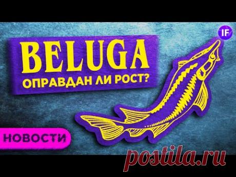 Отчет Disney, скачок Белуги. Брэнсон снова продает акции SPCE / Новости рынков