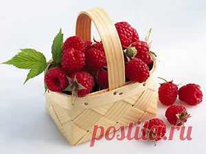 Двухразовая обрезка малины.