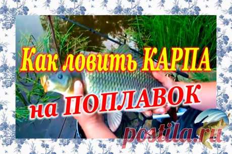 Ловля карпа на поплавок Любой, кто нечаянно поймал карпа, вероятно, предполагал, то что это самая крупная форель, мускус либо щучка, какую они когда-либо зацепили. У некоторых рыболовов была какая-то удача, нацеленная на …