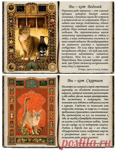 Одноклассники