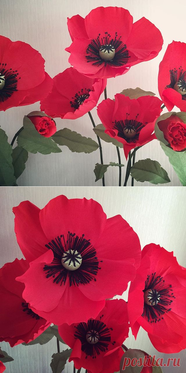 БОЛЬШИЕ БУМАЖНЫЕ ЦВЕТЫ, ДЕКОР (@studio_peonydecor) • Фото и видео в Instagram