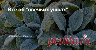 Все об 