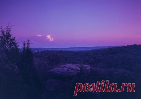 Фиолетовое настроение: 20 снимков с одними из самых загадочных и таинственных цветов, которые так часто встречается в окружающей среде