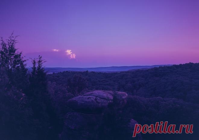 Фиолетовое настроение: 20 снимков с одними из самых загадочных и таинственных цветов, которые так часто встречается в окружающей среде