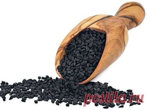 Обработка семян лука - Садоводка