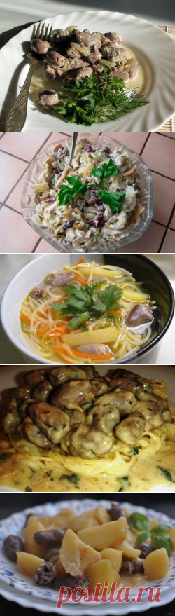 Куриные сердечки — готовим изысканные, вкусные и полезные блюда