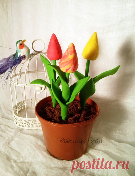 Десерт из шоколадного бисквита и нежного крема !