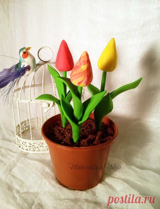 Десерт из шоколадного бисквита и нежного крема !