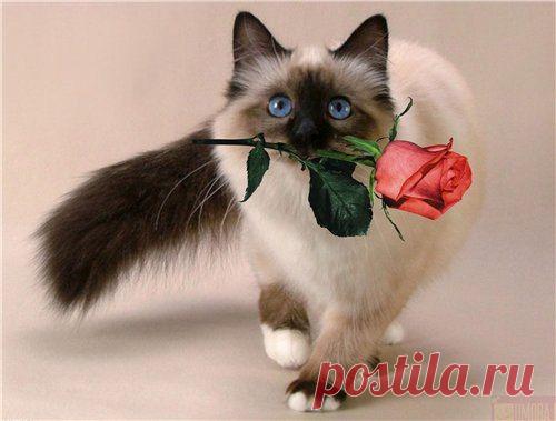 Интересные новости