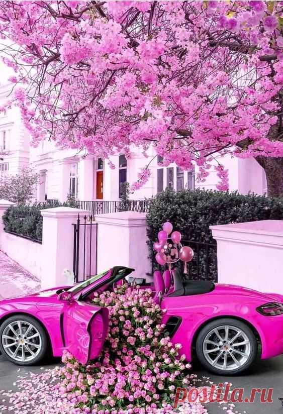Pinterest