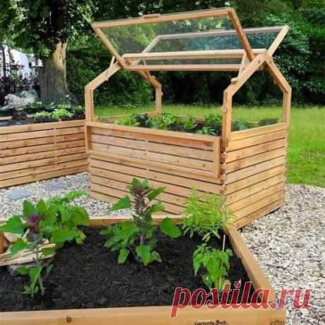 Красивый мини огород