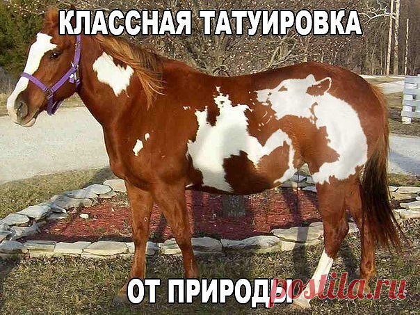 (27) Мой Мир@Mail.Ru