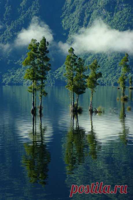 Belle nature إلهي أتيتُ بصدق الحنين   --  --- يناجيكَ بالتوبِ قلبٌ حزين
إلهي أتيتكَ في أضلعي -- إلى ساحةِ العفوِ شوقٌ دفين
إلهي أتيتُ لكم تائباً   --   --   --- فألحق طريحكَ في التائبين
أعنه على نفسهِ والهوى ---...