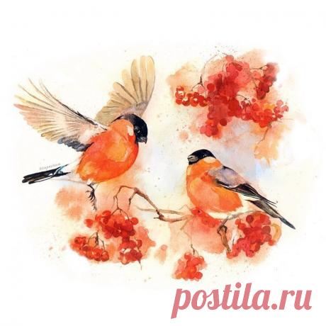 Снегири акварелью