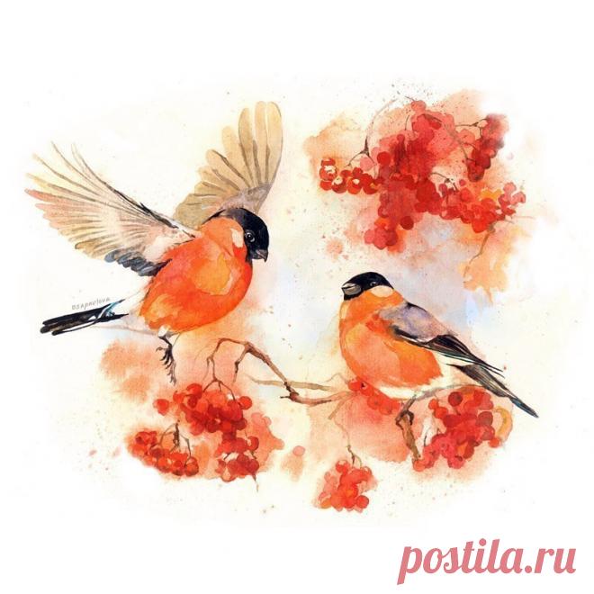 Снегири акварелью
