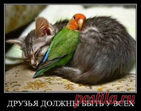 Мой Мир@Mail.Ru