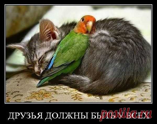Мой Мир@Mail.Ru