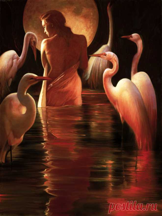 John Rowe (American, born 1954)