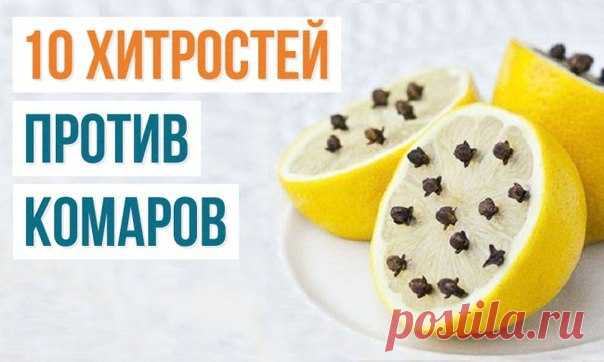 10 способов борьбы с комарами и их укусами