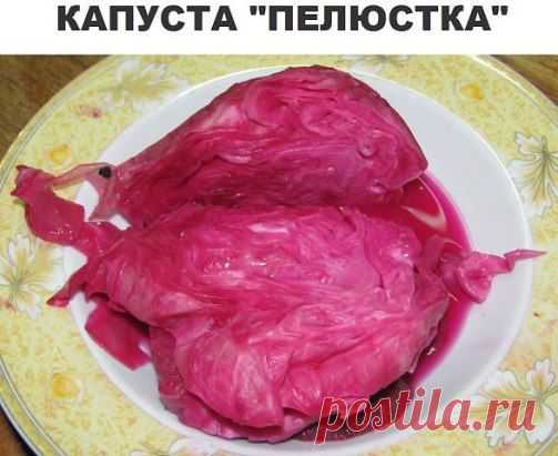 Одноклассники