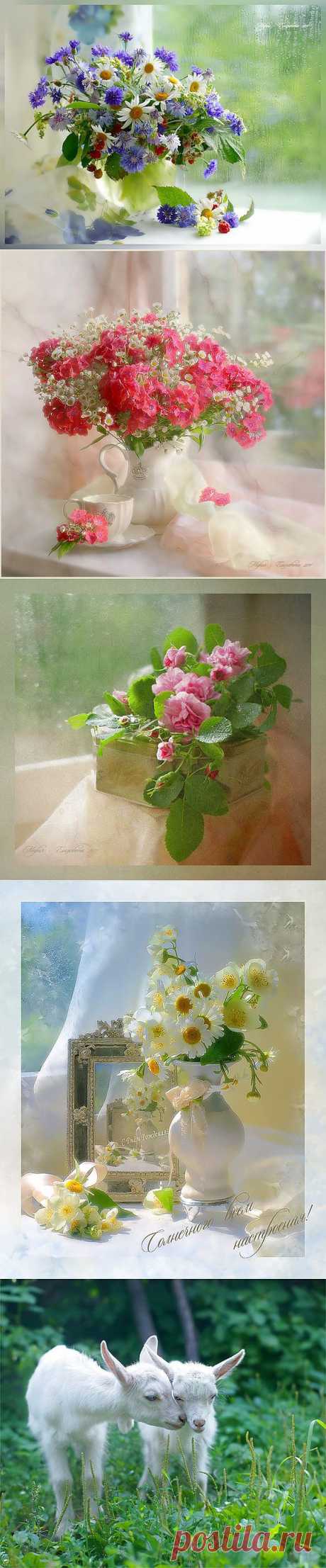 Изумительные фотографии фотохудожницы с логином Мария-Елизавета.