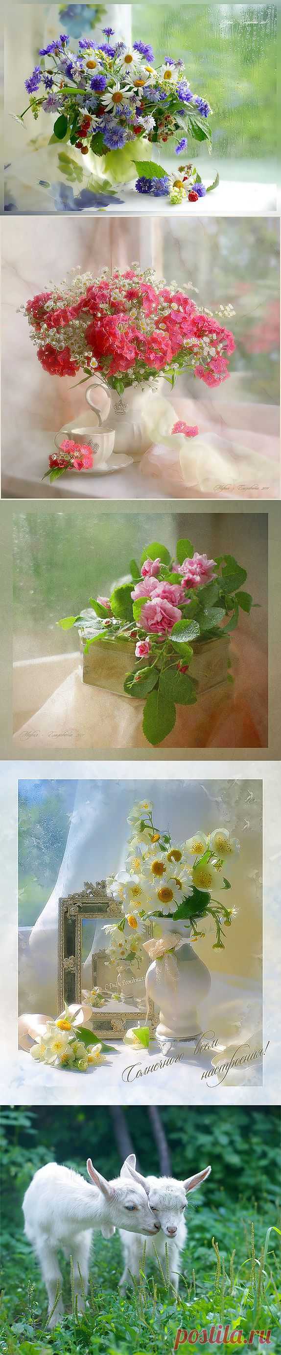 Изумительные фотографии фотохудожницы с логином Мария-Елизавета.