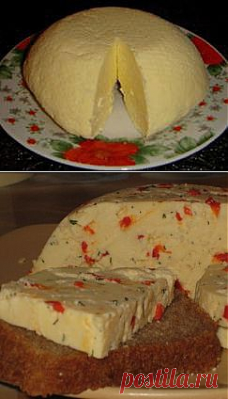 ДОМАШНИЙ СЫР. РЕЦЕПТЫ | Домохозяйки