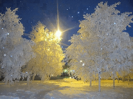 Фото 353, альбом Фото группы - 9362 фото | Фотографии Случайный попутчик.