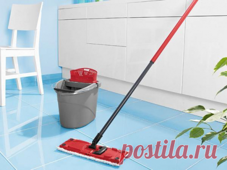 Выбираем швабру для мытья пола Когда пол в квартире сверкает чистотой, она преображается, приобретая лоск ухоженности.Уборка также необходима для санитарного состояния квартиры: ведь на полу скапливается пыль и грязь, что небезопас...