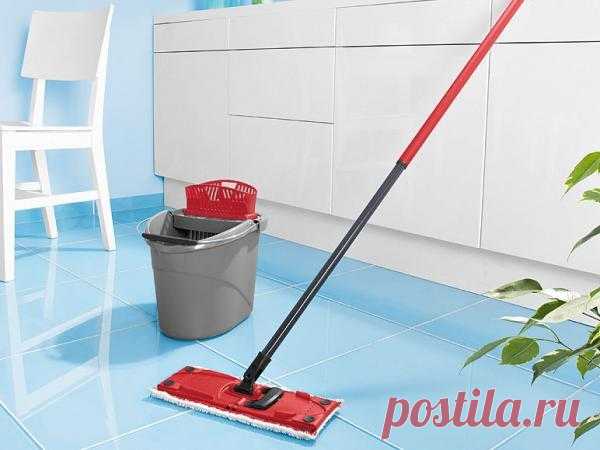 Выбираем швабру для мытья пола Когда пол в квартире сверкает чистотой, она преображается, приобретая лоск ухоженности.Уборка также необходима для санитарного состояния квартиры: ведь на полу скапливается пыль и грязь, что небезопас...