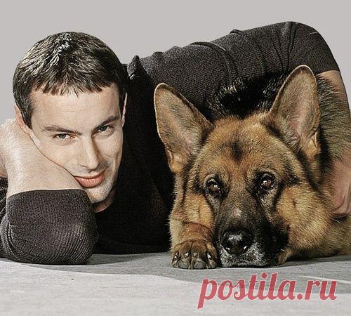 Рекс в большом городе. Стоит ли заводить собаку «как в кино»?