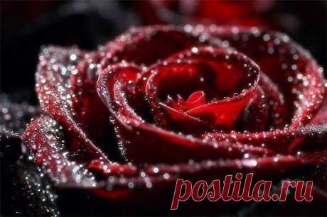 x_67d4fb7e.jpg (600×399)