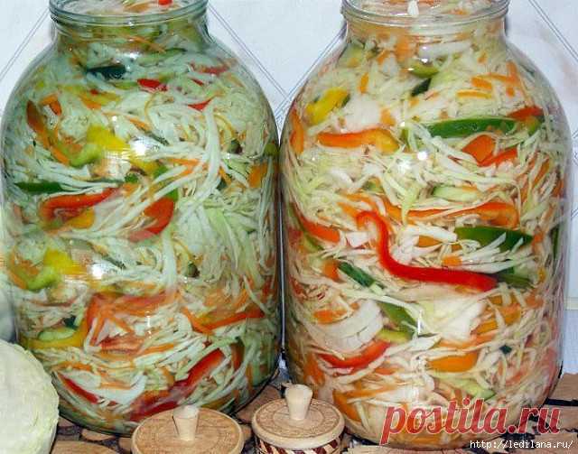 Быстрая засолка капусты горячим способом - Подружки - медиаплатформа МирТесен