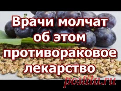 Врачи молчат об этом - противораковое лекарство