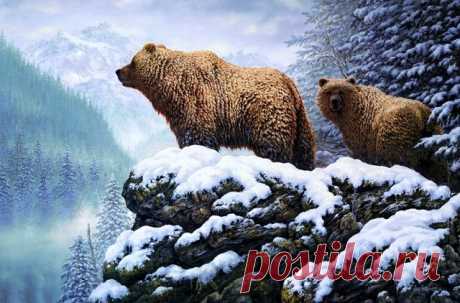 Животные зимой