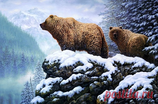 Животные зимой