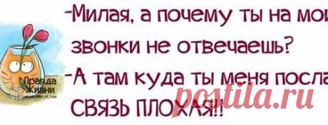 Картинки с позитивными фразами