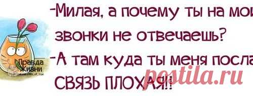 Картинки с позитивными фразами