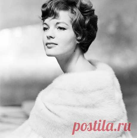 Роми Шнайдер, 23 сентября, 1938
 • 29 мая 1982