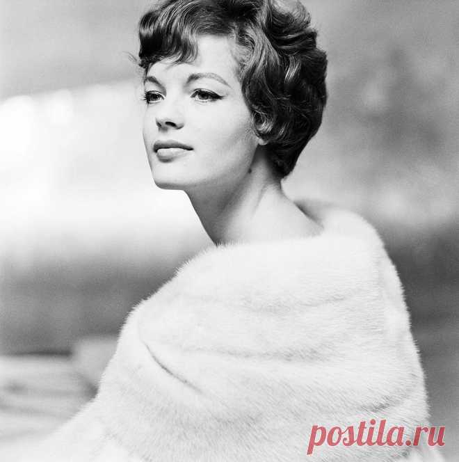 Роми Шнайдер, 23 сентября, 1938
 • 29 мая 1982