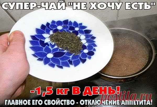 Как похудеть эффективно.: ЧАЙ "НЕ ХОЧУ ЕСТЬ"