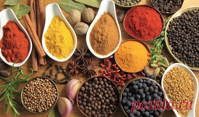 СПЕЦИИ – ЧТО К ЧЕМУ ПОДХОДИТ