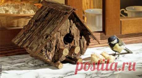(730) Pinterest