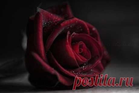 ᴼᴿᴵᴳᴵᴺᴬᴸ   SМАЙЛИКИ   (ړײ)
ღМилана ღ